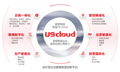 軟件產(chǎn)品的互聯(lián)網(wǎng)銷售 策略、優(yōu)勢(shì)與挑戰(zhàn)